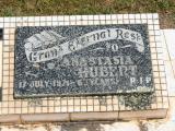 image of grave number 866089